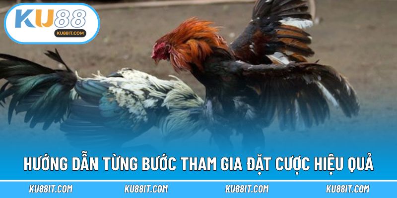 Hướng dẫn từng bước tham gia đặt cược hiệu quả