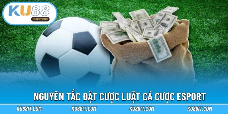 Nguyên tắc đặt cược luật cá cược esport