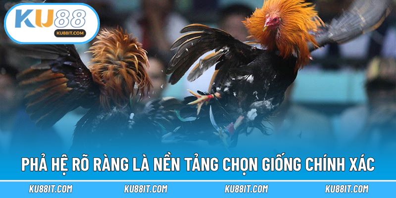 Phả hệ rõ ràng là nền tảng chọn giống chính xác