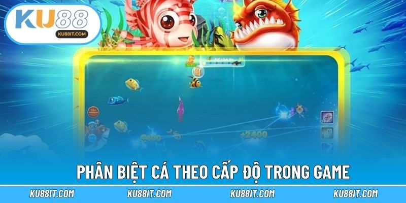 Phân biệt cá theo cấp độ trong game