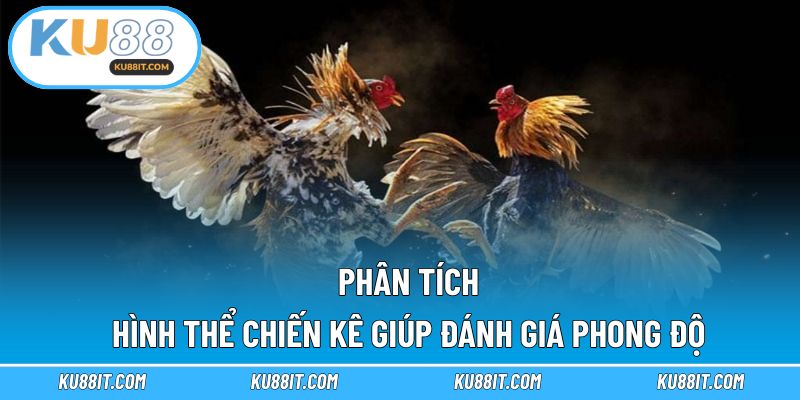Phân tích hình thể chiến kê giúp đánh giá phong độ
