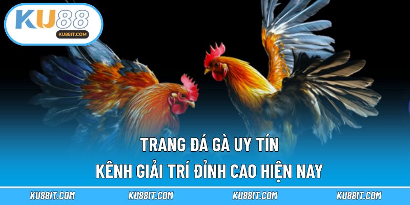 trang đá gà uy tín